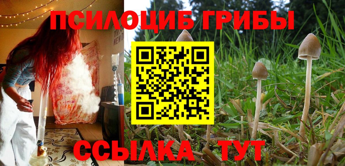 Нефтекумск  Псилоцибиновые грибы Psilocybe  Вход с VPN  Псилоцибиновые грибы Psilocybine cubensis 