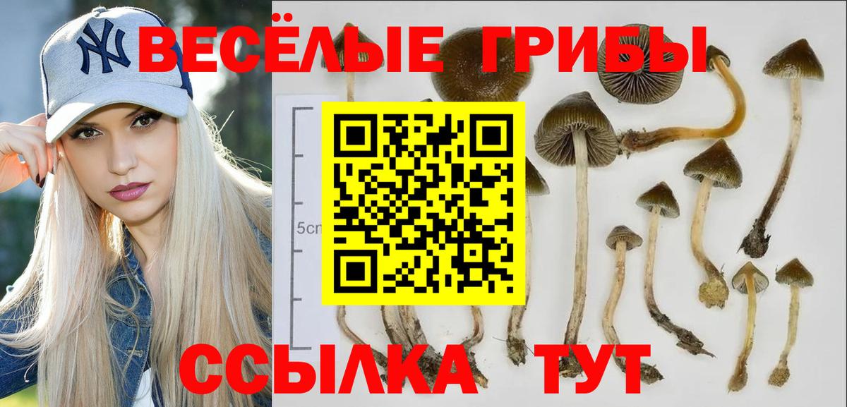 ГАШИШ Нефтекумск