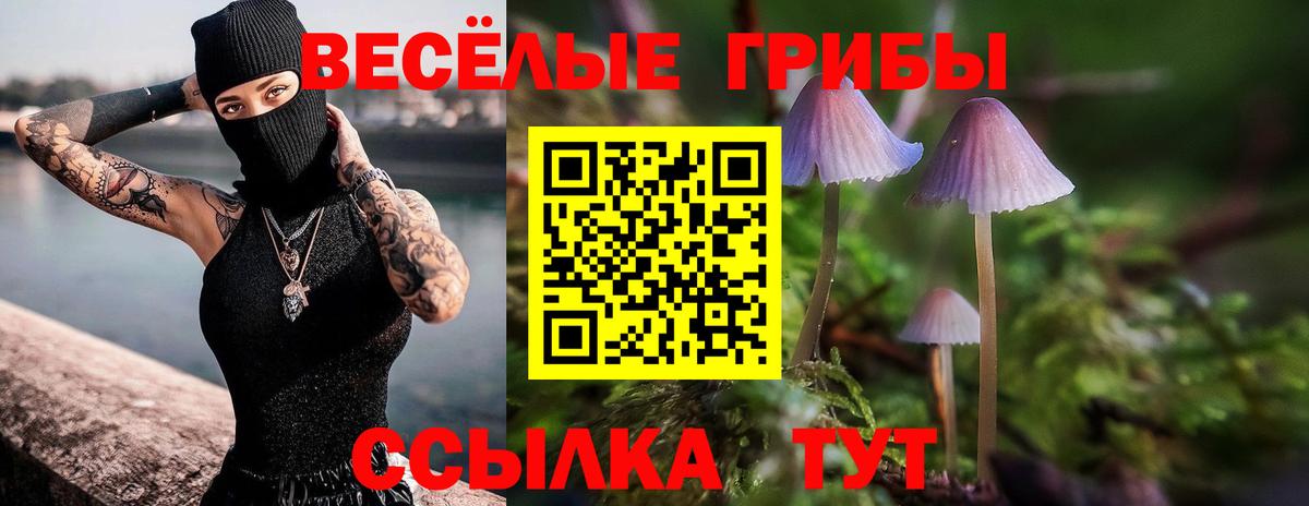 Псилоцибиновые грибы Magic Shrooms Нефтекумск